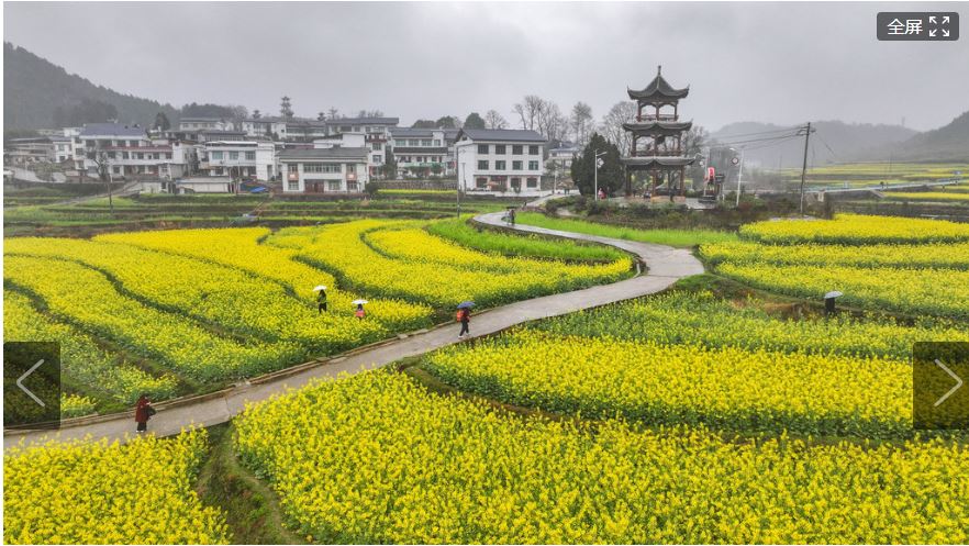 ����ͭ�ʣ�ǧ��Ķ�Ͳ˻������ο�