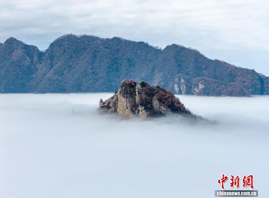 �������� ������������ʤ��